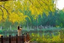 人妻日本三l级香港三级-日本三L级与香港三级，文化差异下的成人娱乐探索
